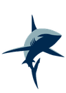 OriginalShark.AI Logo